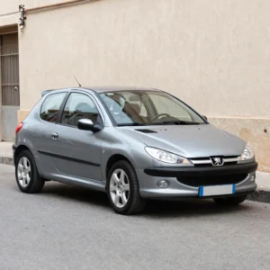 Peugeot 206 Daily